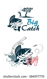 perch fishing