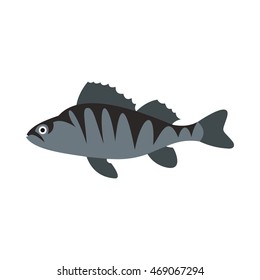 Perch icon in flat style isolated on white background. Sea creatures symbol