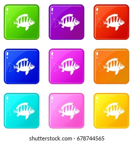Perch icons of 9 color set isolated vector illustration