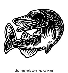 Perch or luce fish silhouette in engraving style. Logo for fishing, menu and other business