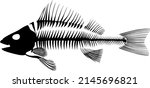 Perch (Perca fluviatilis) fish skeleton silhouette