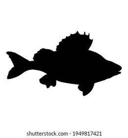 Perch Silhouette Fish Vector Illustration. Side View.