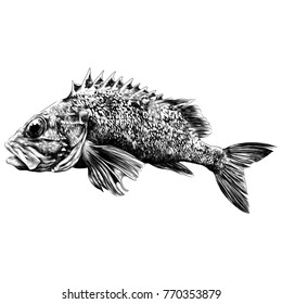 the perch sketch vector graphics monochrome black-and-white drawing