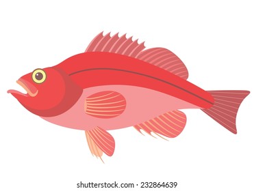 Perch vector illustration. Isolated perch on white background