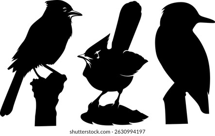 Perched Bird Silhouette Vector Set – Black Songbird Illustrations on Branches for Logos, Nature Art, Ornithology Graphics, Wildlife Posters, and Decorative Design Elements