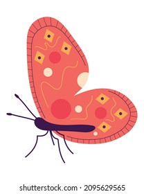 perched butterfly icon on white background