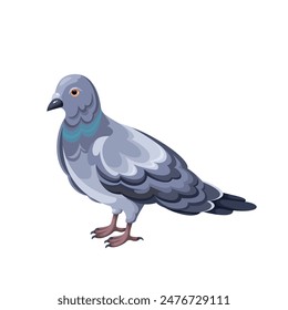 Perched common wood pigeon, cartoon bird of city street. Funny portrait of grey dove standing on ground or perch. Fauna and ornithology mascot cartoon pigeon with wings and beak vector illustration