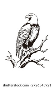 Perched Eagle on Tree Branch Illustration, Black and White Line Art Bird of Prey
