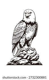 Perched Eagle on Tree Branch Illustration, Black and White Line Art Bird of Prey