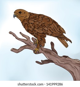 Perched falcon vector drawing/Perched falcon/Easy to edit vector file, easy to edit layers, easy to edit groups, Black outline file looks amazing without the colour layer.