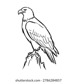 Perched Hawk Eagle Illustration Icon Containing resting predator bird, wildlife branch pose, and eagle animal illustration