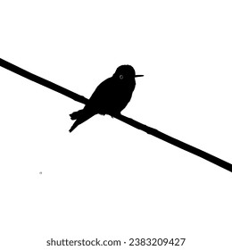 Perched Hummingbird Silhouette, can use Art Illustration, Website, Logo Gram, Pictogram or Graphic Design Element. Vector Illustration