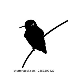 Perched Hummingbird Silhouette, can use Art Illustration, Website, Logo Gram, Pictogram or Graphic Design Element. Vector Illustration