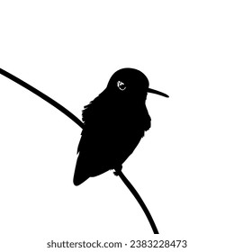 Perched Hummingbird Silhouette, can use Art Illustration, Website, Logo Gram, Pictogram or Graphic Design Element. Vector Illustration