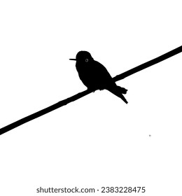 Perched Hummingbird Silhouette, can use Art Illustration, Website, Logo Gram, Pictogram or Graphic Design Element. Vector Illustration