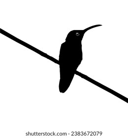 Perched Hummingbird Silhouette, can use Art Illustration, Website, Logo Gram, Pictogram or Graphic Design Element. Vector Illustration