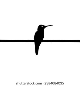 Perched Hummingbird Silhouette, can use Art Illustration, Website, Logo Gram, Pictogram or Graphic Design Element. Vector Illustration