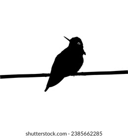 Perched Hummingbird Silhouette, can use Art Illustration, Website, Logo Gram, Pictogram or Graphic Design Element. Vector Illustration