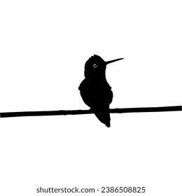 Perched Hummingbird Silhouette, can use Art Illustration, Website, Logo Gram, Pictogram or Graphic Design Element. Vector Illustration