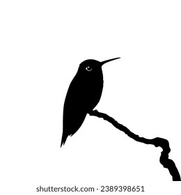 Perched Hummingbird Silhouette, can use Art Illustration, Website, Logo Gram, Pictogram or Graphic Design Element. Vector Illustration