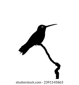 Perched Hummingbird Silhouette, can use Art Illustration, Website, Logo Gram, Pictogram or Graphic Design Element. Vector Illustration