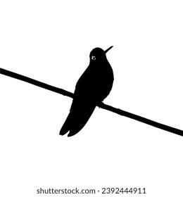 Perched Hummingbird Silhouette, can use Art Illustration, Website, Logo Gram, Pictogram or Graphic Design Element. Vector Illustration