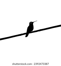 Perched Hummingbird Silhouette, can use Art Illustration, Website, Logo Gram, Pictogram or Graphic Design Element. Vector Illustration