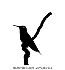 Perched Hummingbird Silhouette, can use Art Illustration, Website, Logo Gram, Pictogram or Graphic Design Element. Vector Illustration