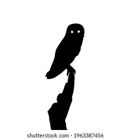 Perched Owl Silhouette, can use for Art Illustration, Nature and Wildlife Poster Theme, Website or Graphic Design Element. Vector Illustration