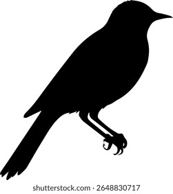 Perching Bird Silhouette Vector Black Flying Creature Clipart on White Background