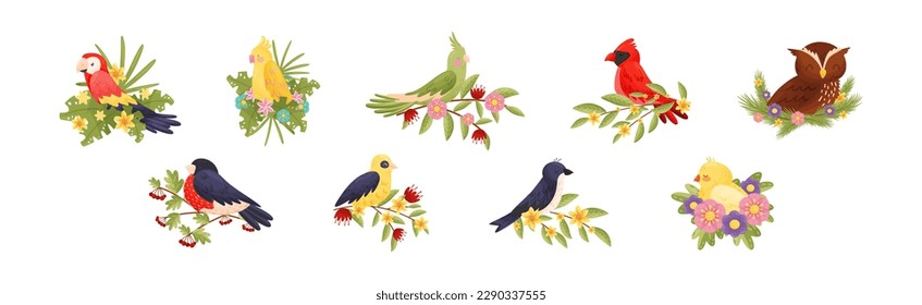 Perching Bird Sitting on Floral Twig or Branch with Blossoming Flowers Vector Set