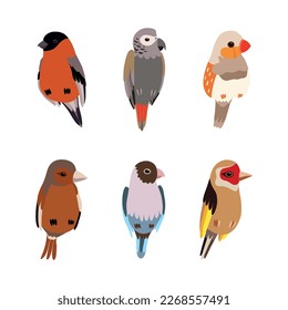 Vogelperspektive als geflügelte Federn-Kreatur mit heller Plumage-Vektorset