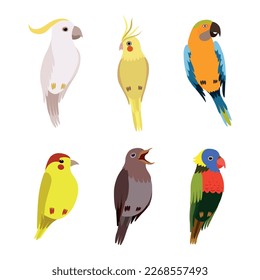 Pájaros grabados como criatura de plumas aladas con un juego de vectores de plumage brillante