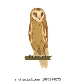 Perching Owl Bird with Broad Head and Sharp Talons Having Upright Stance Vector Illustration