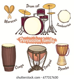 Percussion family. Colored hand drawn vector illustration