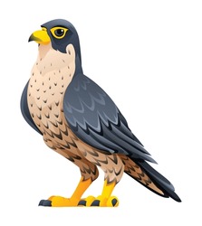 Peregrine Falcon Cartoon Illustration Isolated On White Background