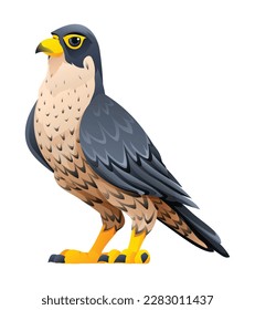 Peregrine falcon cartoon illustration isolated on white background