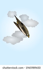 A peregrine falcon diving from the sky at high speed. Hand drawn vector illustration.