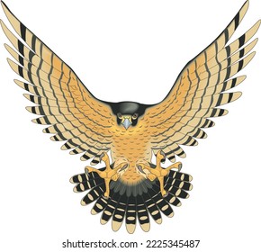 Peregrine Falcon in Flight Vector Illustration