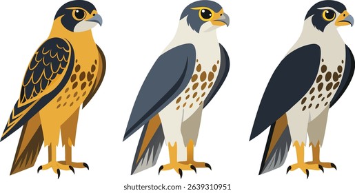 Peregrine Falcon illustration vector design
