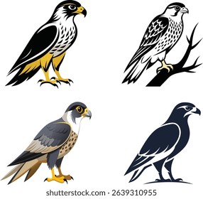 Peregrine Falcon illustration vector design
