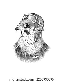  Peregrine falcon pilot character with glasses in a hat. Hand drawn fashionable bird. Engraved old monochrome sketch.