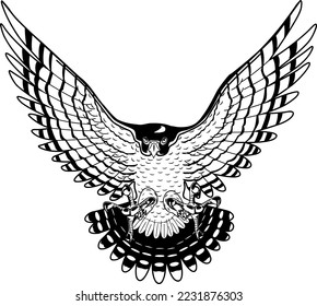 Peregrine Falcon with Wings Spread Vector Illustration