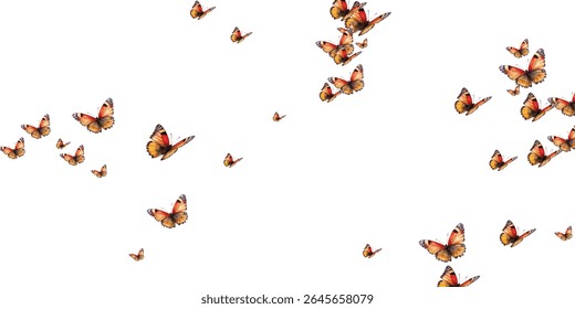  A perfect choice for nature inspired designs, invitations, wallpapers, and decor. High-quality, vibrant, and eye catching artwork.