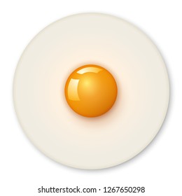 Perfect Circle Fried Egg Top View Isolated on White Background. Vector Illustration.