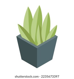 Perfektes Design-Icon der Aloe Vera Pflanze 