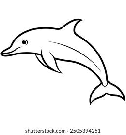 Perfect Dolphin Cetacean Vector Illustration - Colorful Silhouette, Line Art