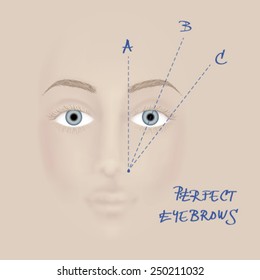 Perfect eyebrow / Schematic drawing of beautiful woman eyebrow  