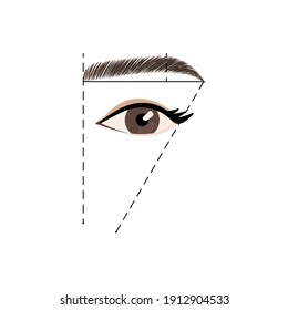 Perfect eyebrow shape tutorial. Vector stock template