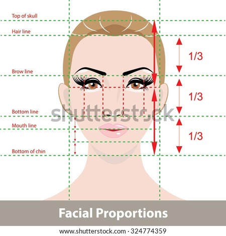 Perfect Face Proportions Stock Vector (Royalty Free) 324774359 ...